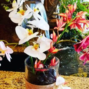 Forever Orchid Arrangement